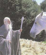 s2.jpg